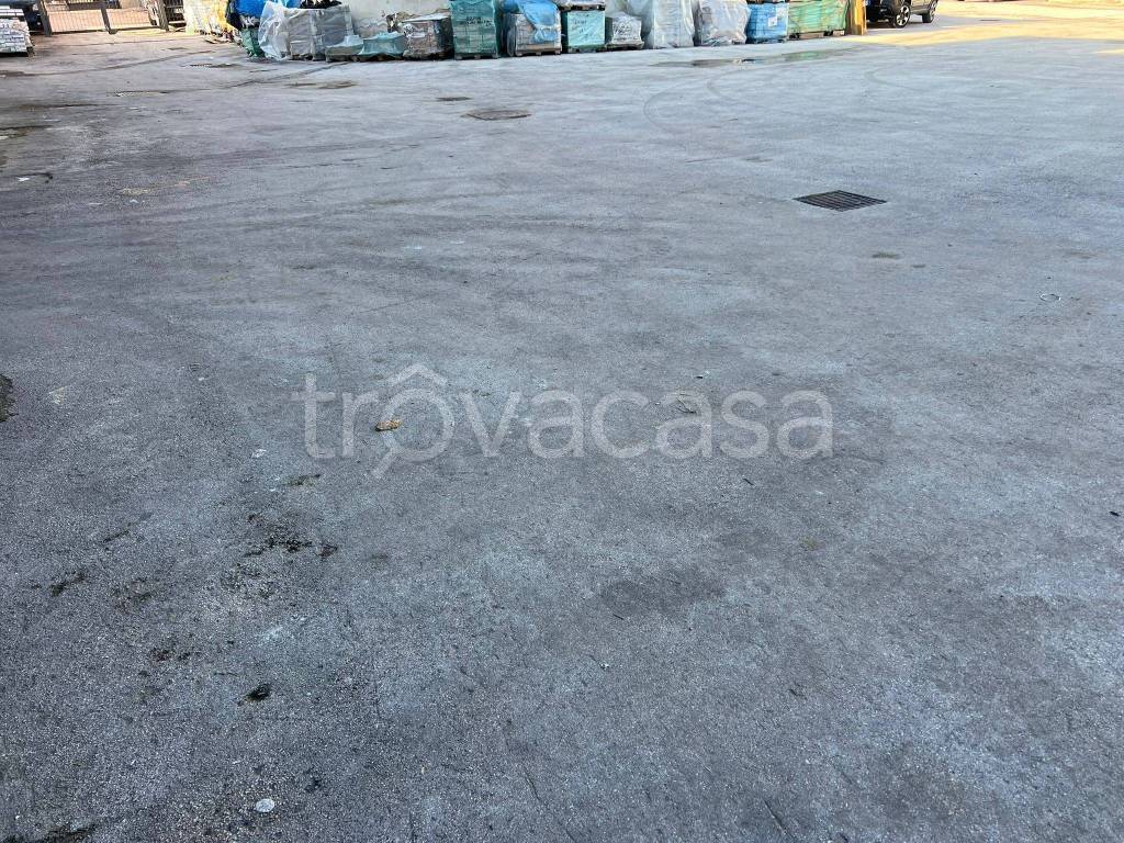 immagine annuncio 5 di 8