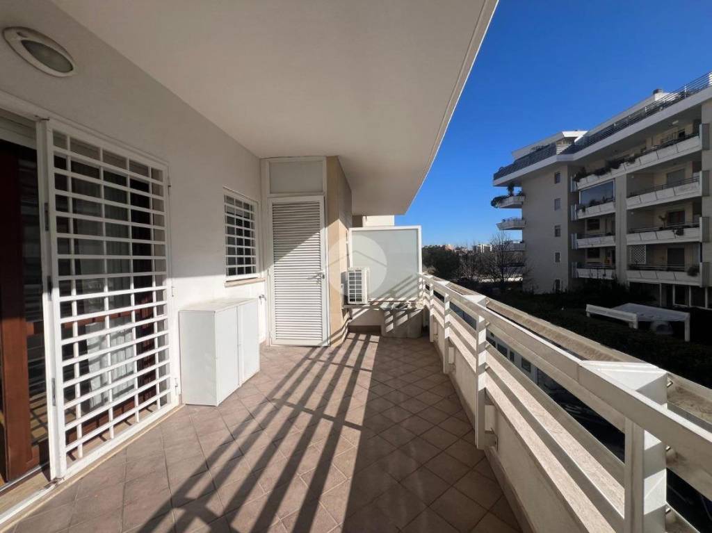 immagine annuncio 11 di 14