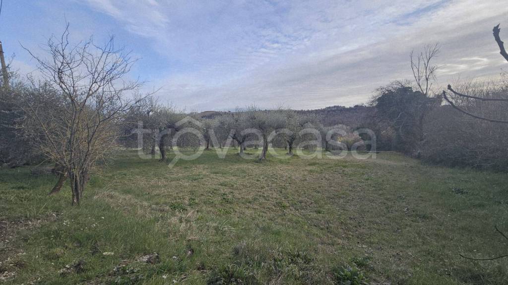 immagine annuncio 6 di 11