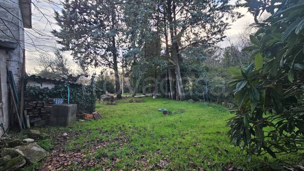 immagine annuncio 7 di 11