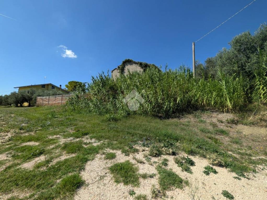 immagine annuncio 2 di 14