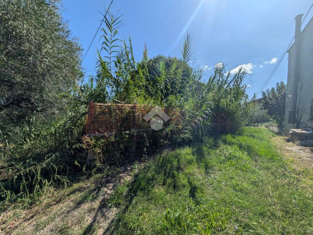 immagine annuncio 6 di 14