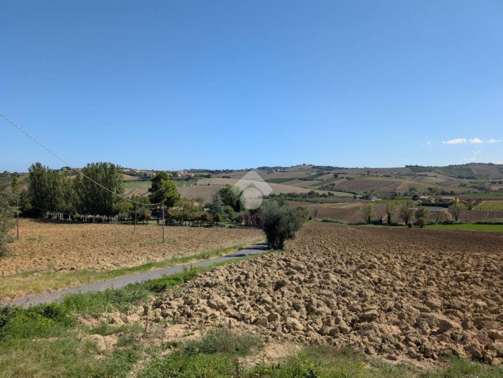 immagine annuncio 7 di 14