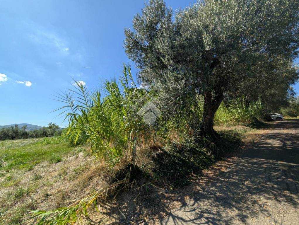 immagine annuncio 8 di 14