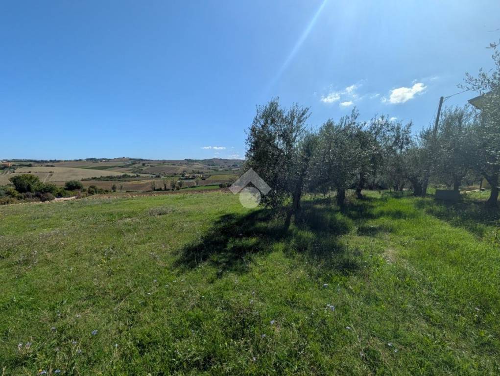 immagine annuncio 9 di 14