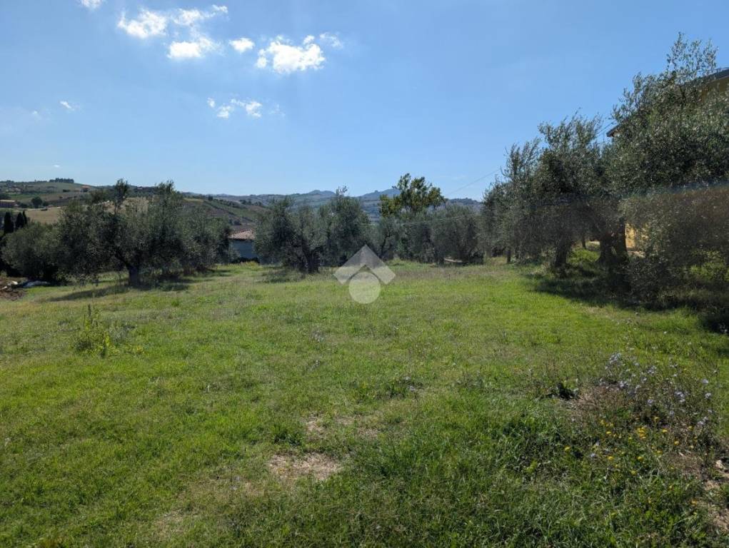 immagine annuncio 10 di 14