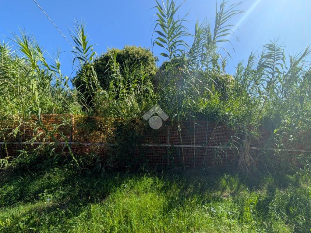 immagine annuncio 11 di 14