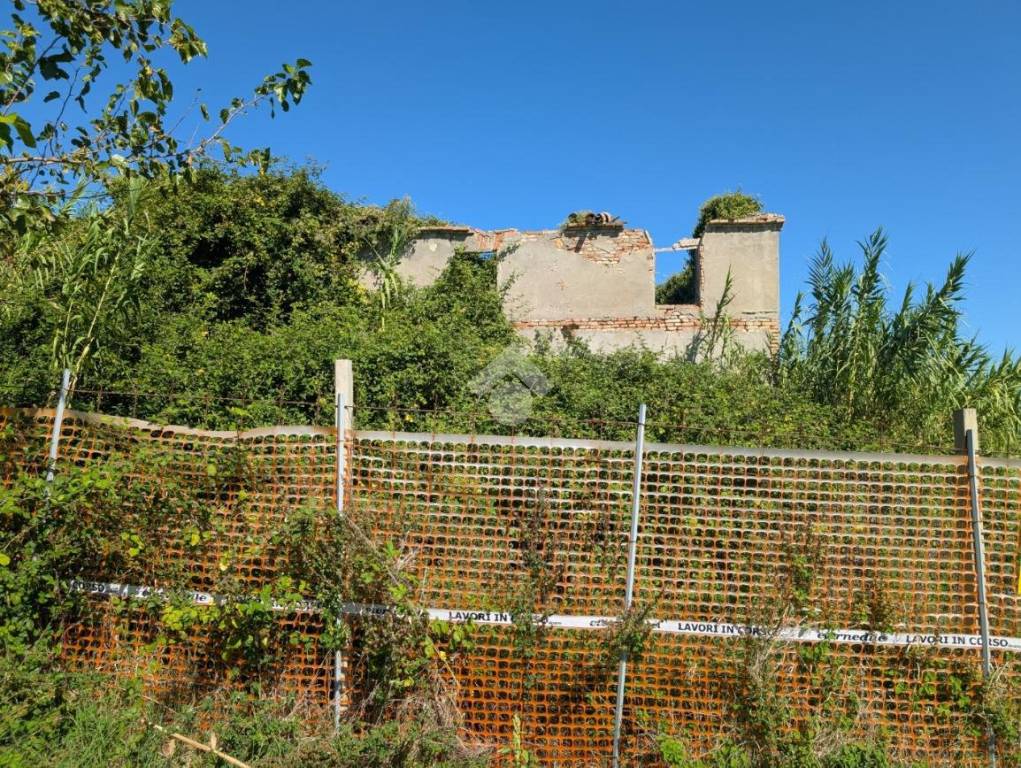 immagine annuncio 12 di 14