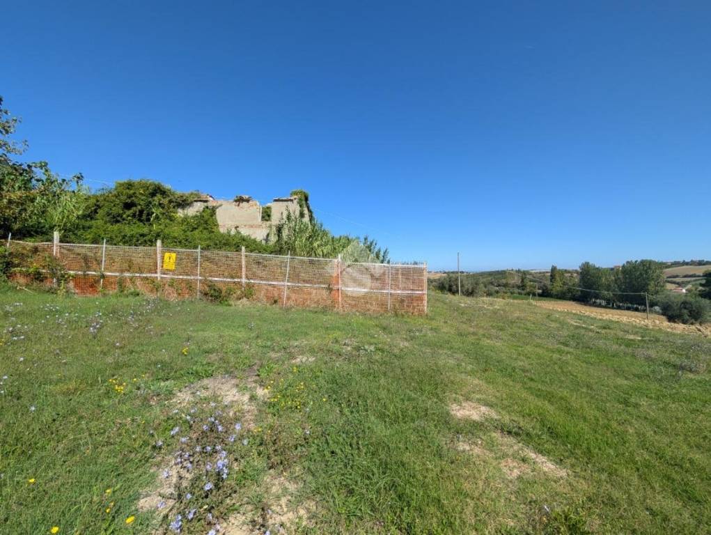 immagine annuncio 13 di 14