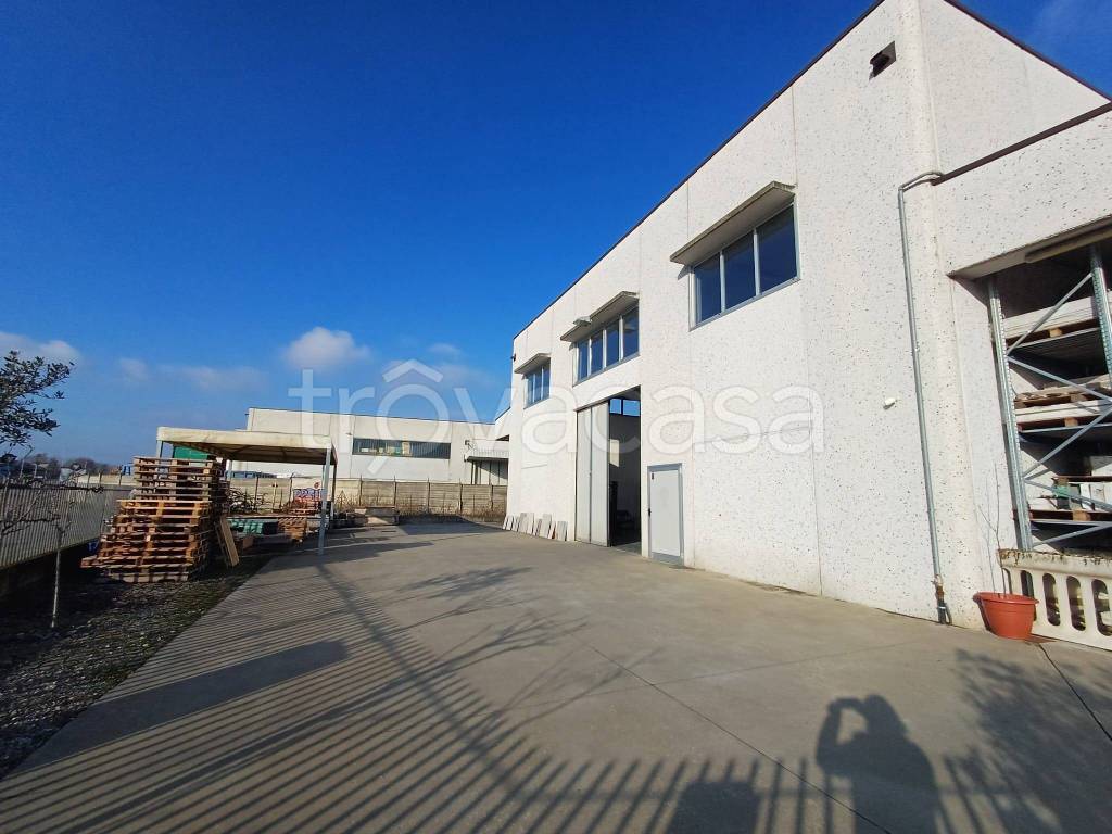 immagine annuncio 1 di 11