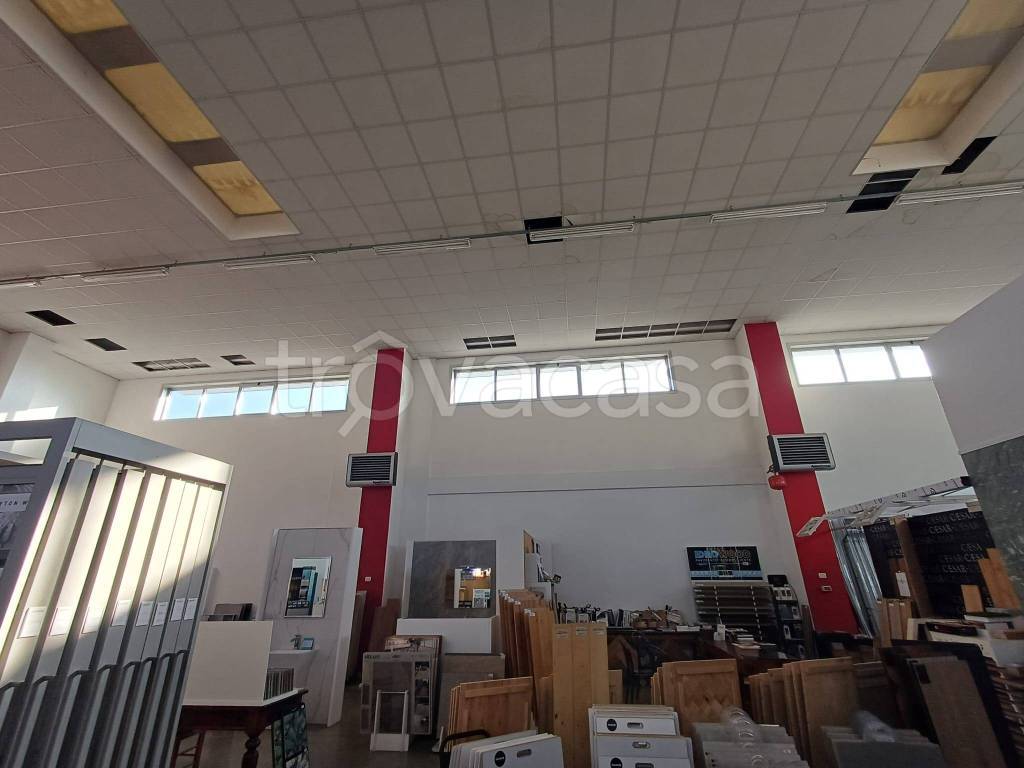 immagine annuncio 4 di 11