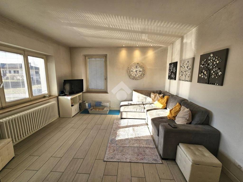 immagine annuncio 6 di 15