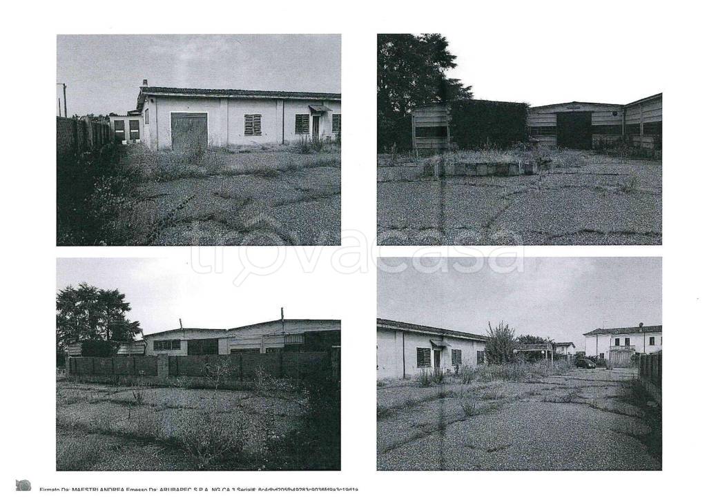 immagine annuncio 2 di 11