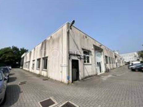 immagine annuncio 3 di 11