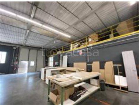 immagine annuncio 6 di 11