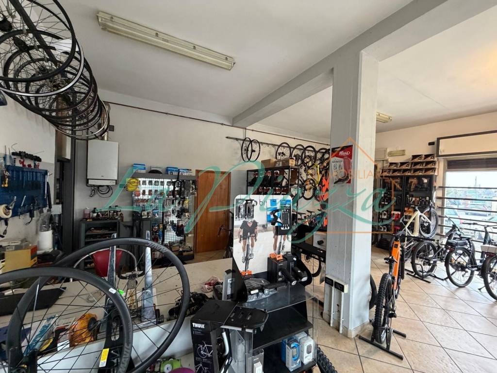 immagine annuncio 4 di 15