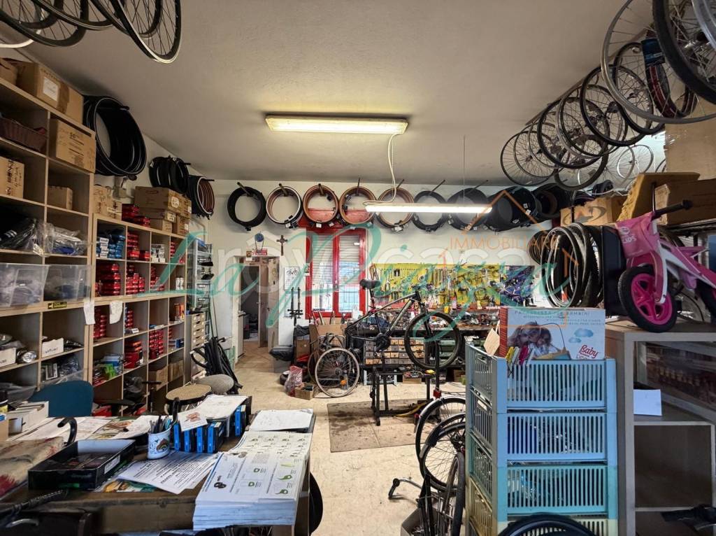 immagine annuncio 13 di 15