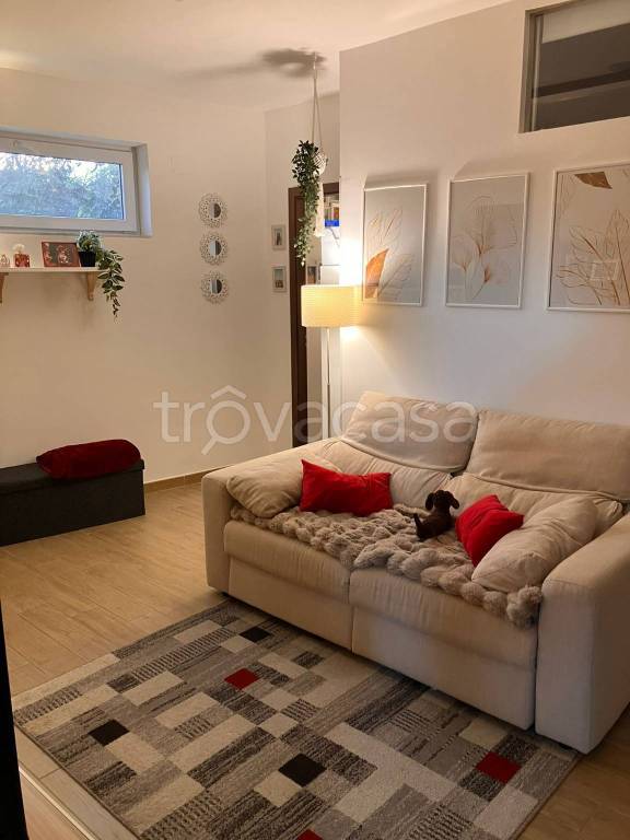 immagine annuncio 6 di 12