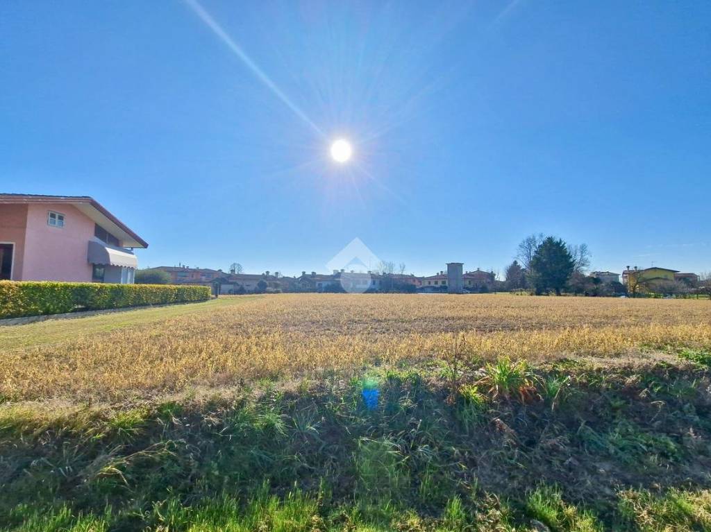 immagine annuncio 6 di 12