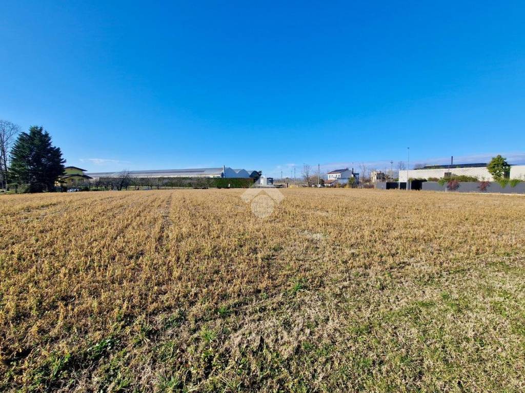 immagine annuncio 7 di 12