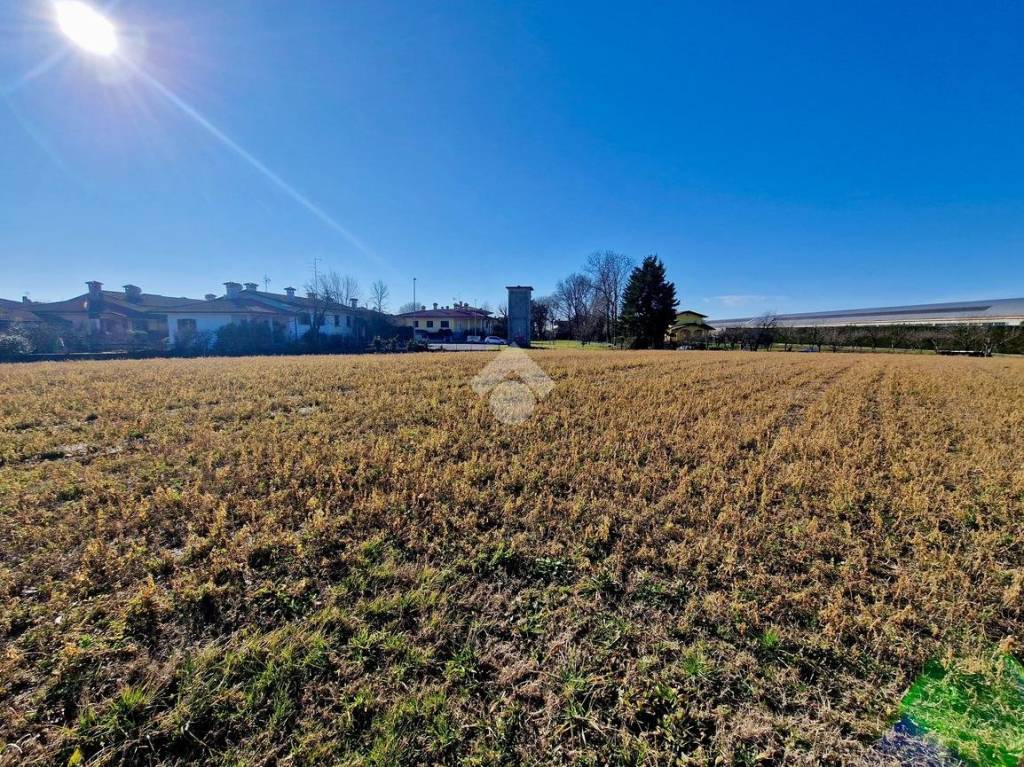 immagine annuncio 8 di 12