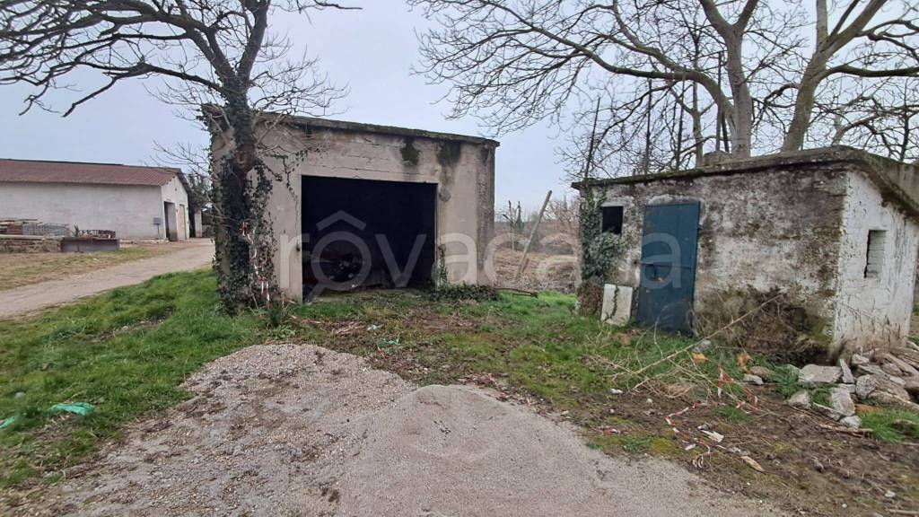 immagine annuncio 8 di 15