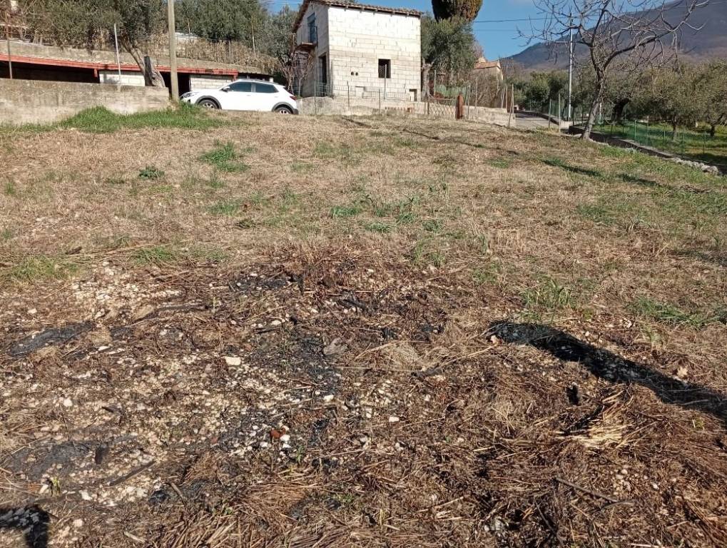 immagine annuncio 1 di 8