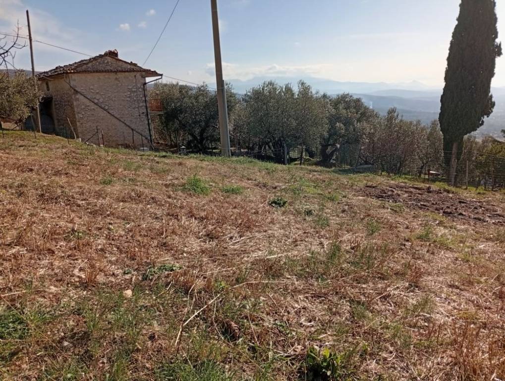 immagine annuncio 2 di 8