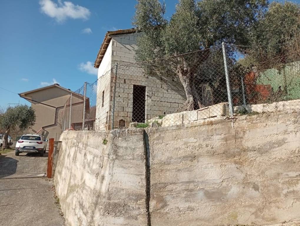 immagine annuncio 3 di 8