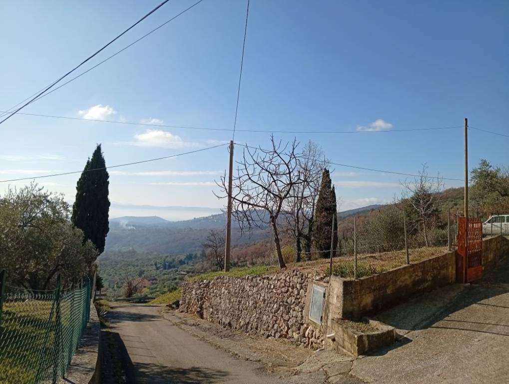 immagine annuncio 4 di 8