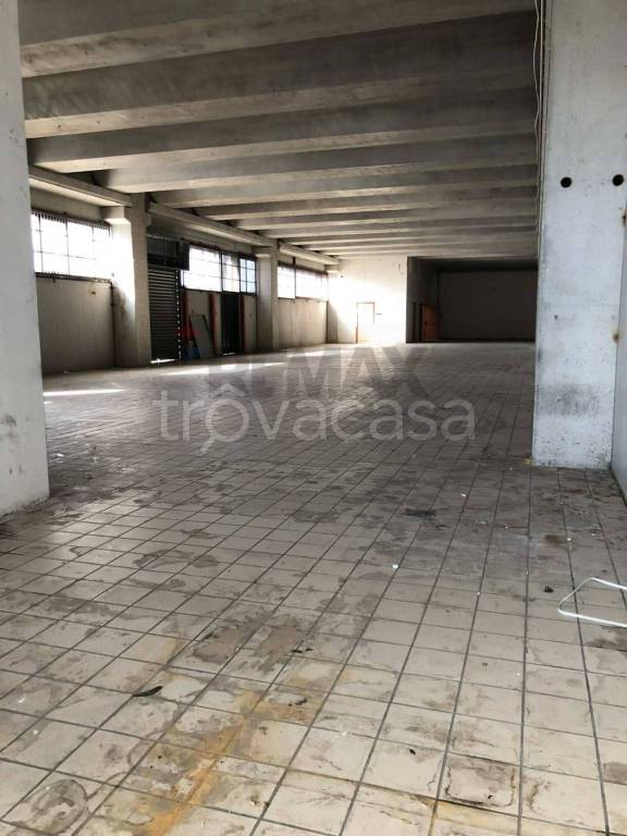 immagine annuncio 7 di 14