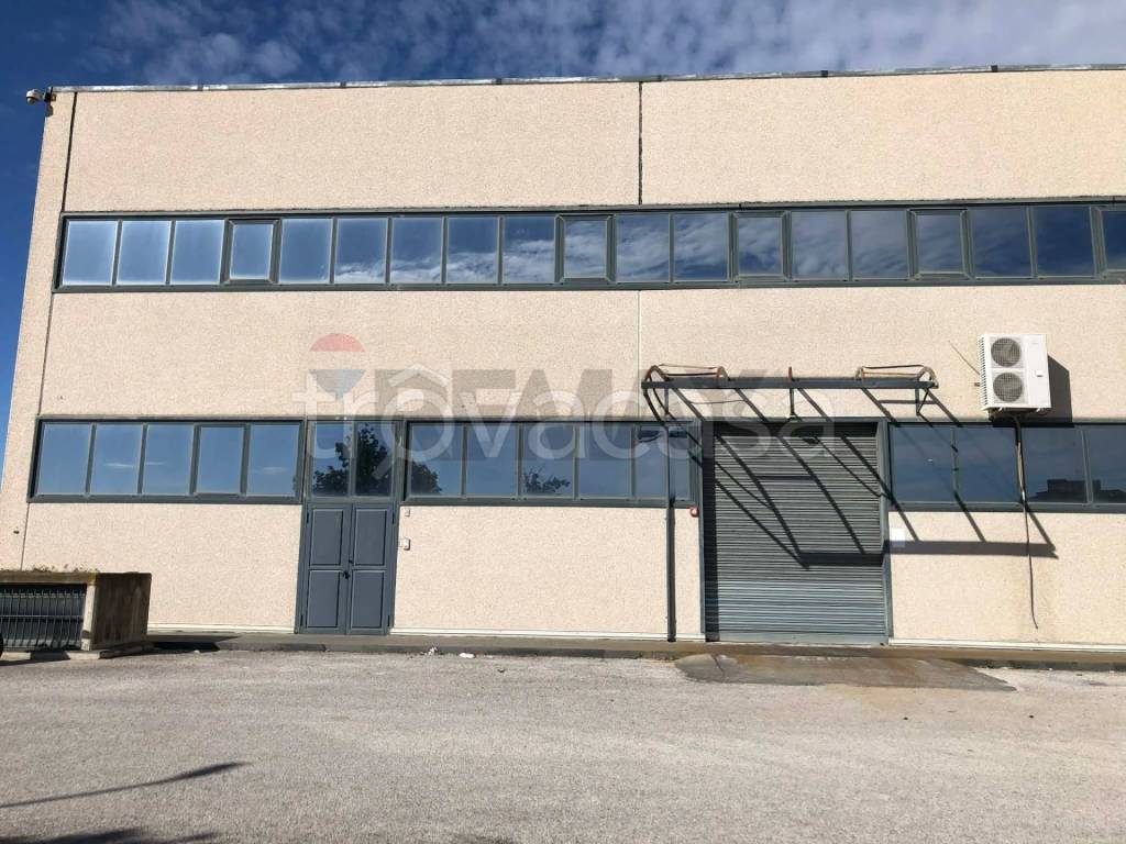 immagine annuncio 8 di 14