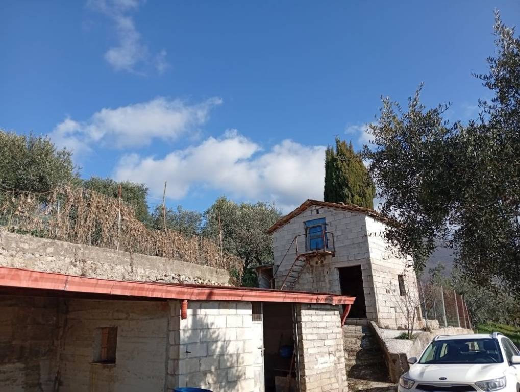 immagine annuncio 7 di 8