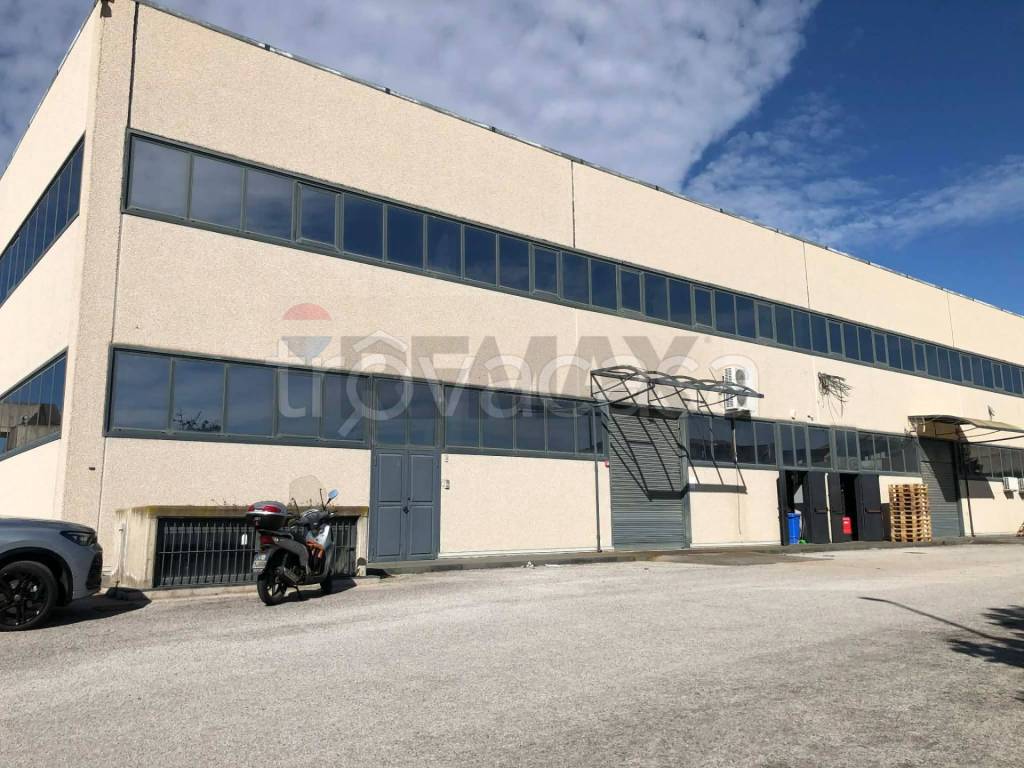 immagine annuncio 10 di 14