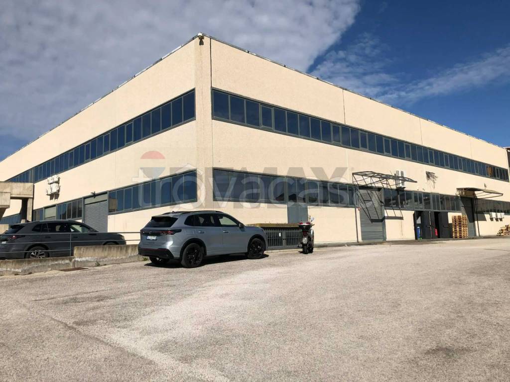 immagine annuncio 13 di 14