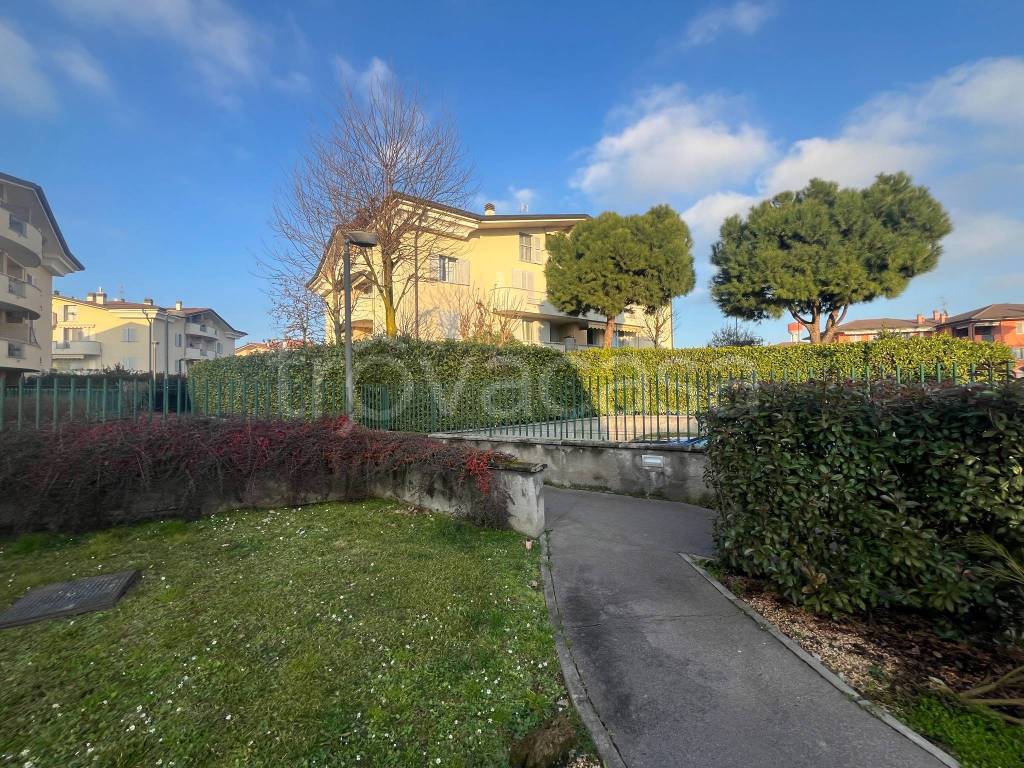 immagine annuncio 2 di 15