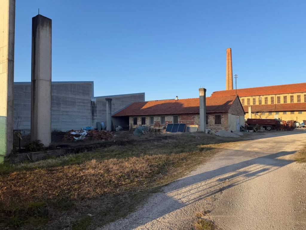 immagine annuncio 1 di 14