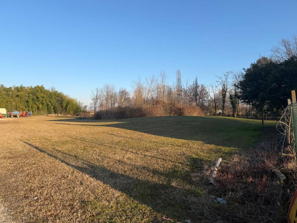 immagine annuncio 2 di 14