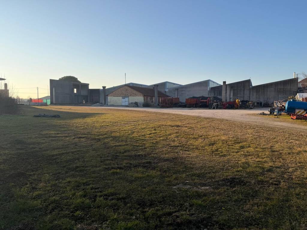 immagine annuncio 9 di 14