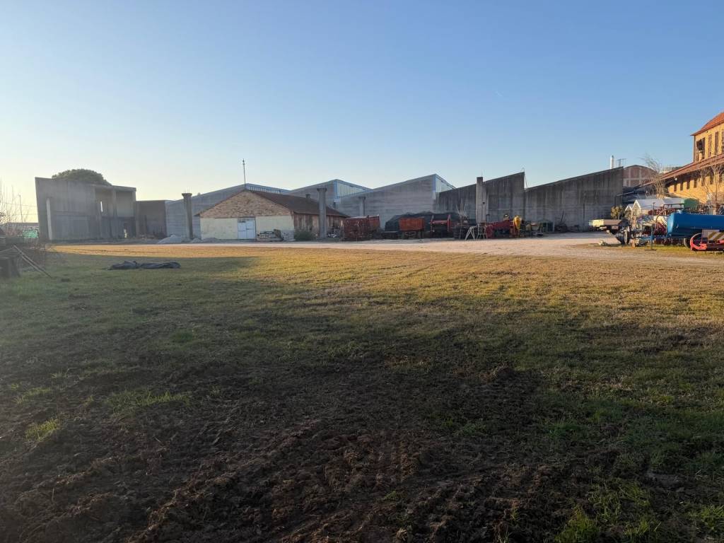 immagine annuncio 10 di 14