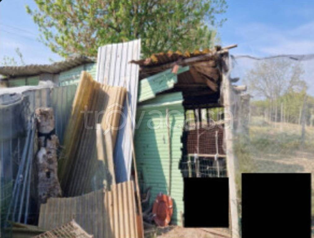 immagine annuncio 4 di 14