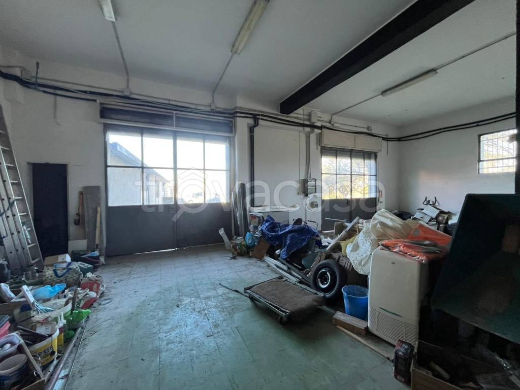 immagine annuncio 9 di 15