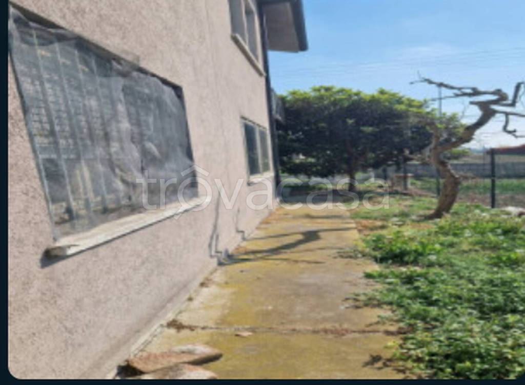 immagine annuncio 7 di 14