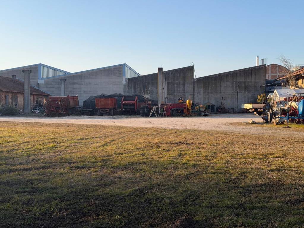 immagine annuncio 11 di 14