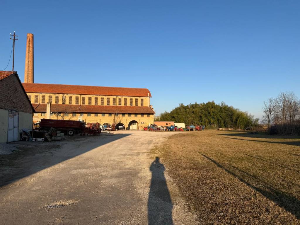 immagine annuncio 12 di 14