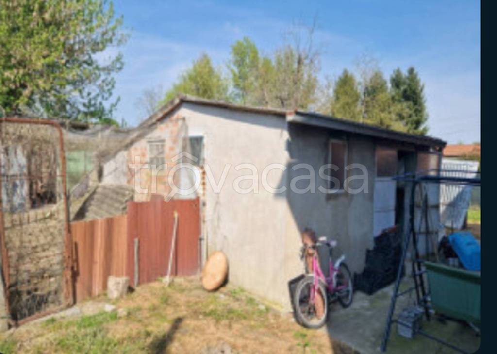 immagine annuncio 9 di 14