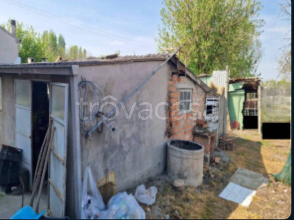 immagine annuncio 12 di 14