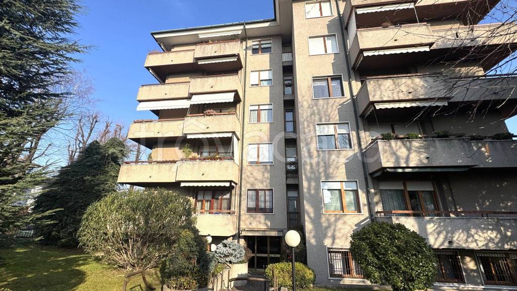 immagine annuncio 3 di 15