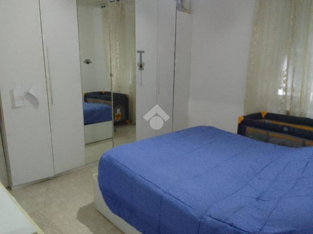 immagine annuncio 7 di 14