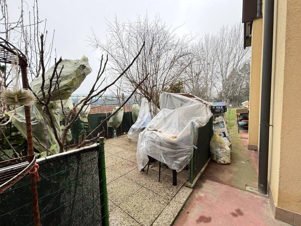 immagine annuncio 12 di 13